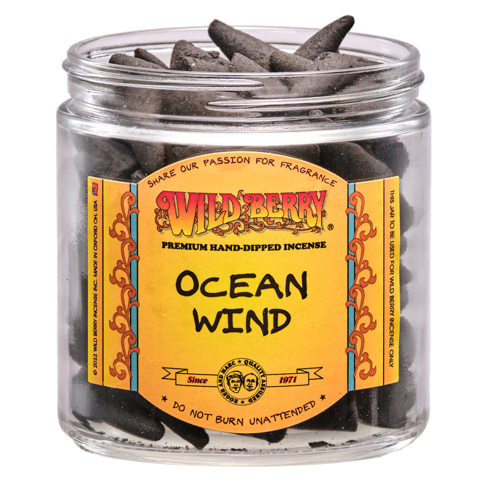 Wild Berry Incense Cones Ocean Wind