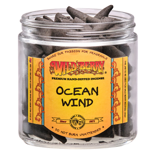 Wild Berry Incense Cones Ocean Wind