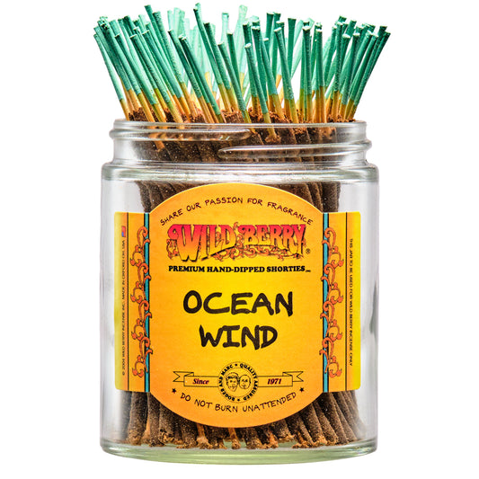 Wild Berry Shorties Ocean Wind