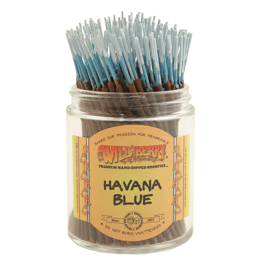 Wild Berry Shorties Havana Blue