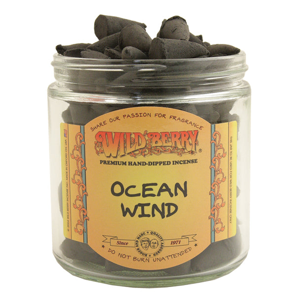 Wild Berry Incense Cones Ocean Wind