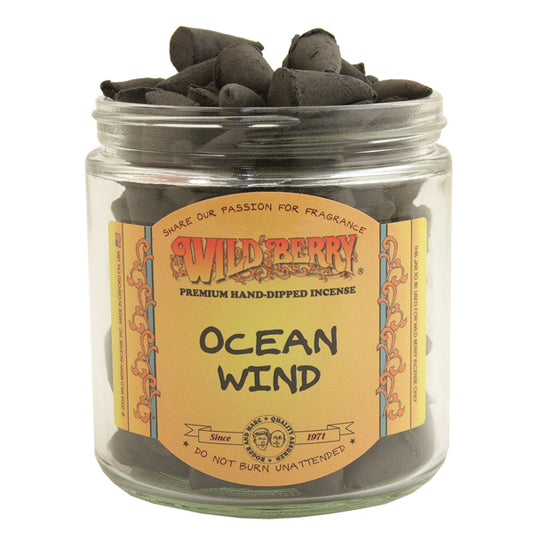 Wild Berry Incense Cones Ocean Wind